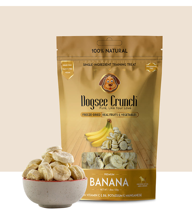 Reinventing Canine Nutrition: The Magic of Dogsee Crunch Dried Banana Dog Treat