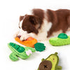 FOFOS Cute Treat Toy - Cactus