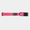 BMM Classic Collar - Fuchsia