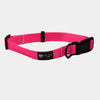 BMM Classic Collar - Fuchsia