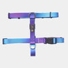 BMM Gradient H-Harness - Blue