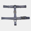 BMM Classic H-Harness - Graphite Grey