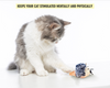 FOFOS Pull String and Sound Chip Mouse - Grey