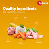 Pedigree Adult Food Meat & Rice