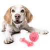 FOFOS Milk Bone & Ball - Pink