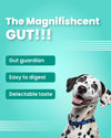 Bark Out Loud Mini Fishes - Hypoallergenic Treat - 100 gms