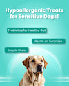 Bark Out Loud Mini Fishes - Hypoallergenic Treat - 100 gms