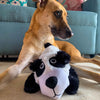 Barkbutler Pandu The Panda