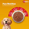 Pedigree Puppy Food Chicken Chunks in Gravy - 70 gms