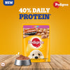 Pedigree Puppy Food Chicken Chunks in Gravy - 70 gms