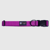 BMM Classic Collar - Purple