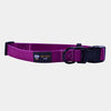 BMM Classic Collar - Purple