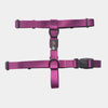 BMM Classic H-Harness - Purple