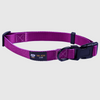BMM Classic Collar - Purple