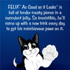 Purina Felix Salmon in Jelly Adult Cat Wet Food