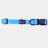 BMM Classic Collar - Sky Blue