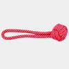 BMM Tug Toy - Single Handle Ball - Small