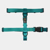 BMM Classic H-Harness - Teal