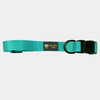 BMM Classic Collar - Teal